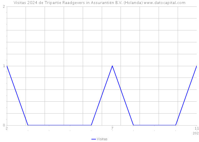 Visitas 2024 de Tripartie Raadgevers in Assurantiën B.V. (Holanda) 