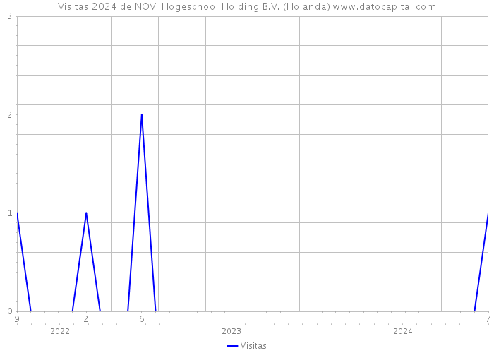 Visitas 2024 de NOVI Hogeschool Holding B.V. (Holanda) 