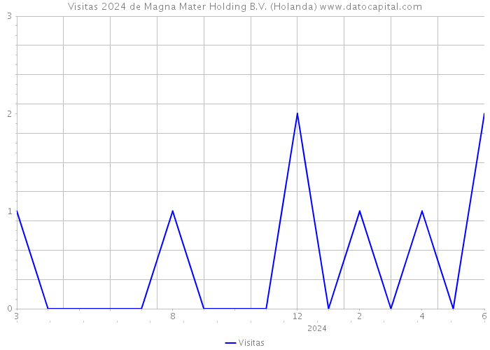 Visitas 2024 de Magna Mater Holding B.V. (Holanda) 