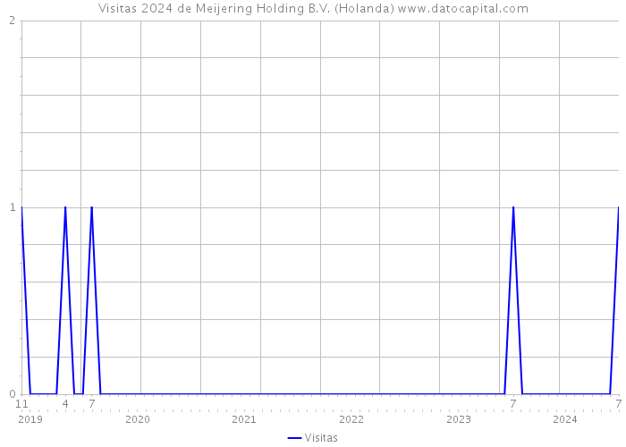 Visitas 2024 de Meijering Holding B.V. (Holanda) 