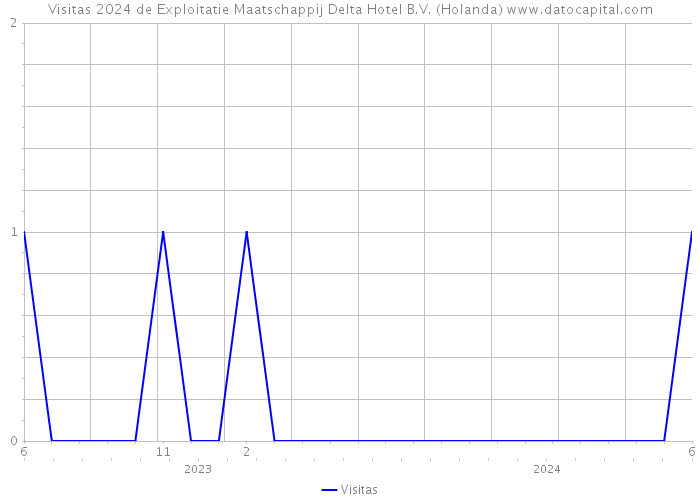 Visitas 2024 de Exploitatie Maatschappij Delta Hotel B.V. (Holanda) 