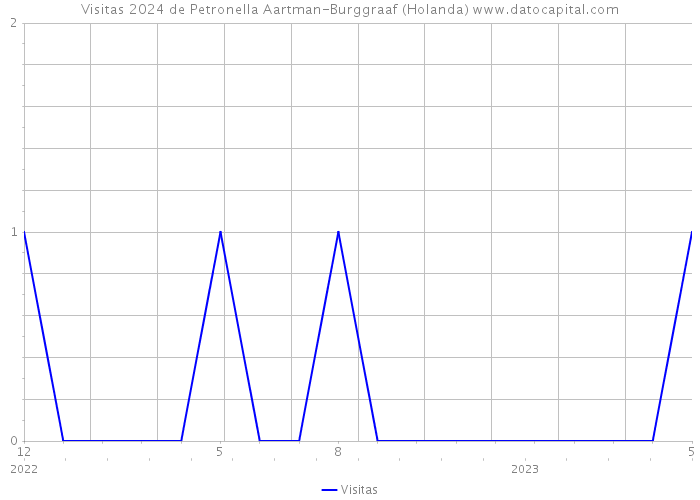 Visitas 2024 de Petronella Aartman-Burggraaf (Holanda) 