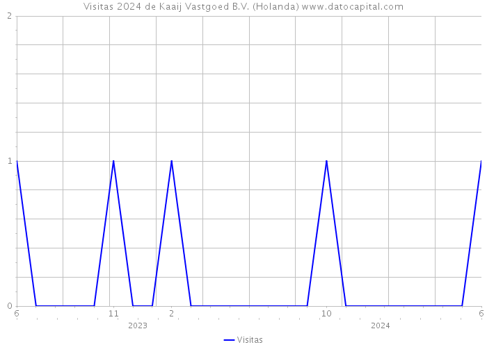 Visitas 2024 de Kaaij Vastgoed B.V. (Holanda) 