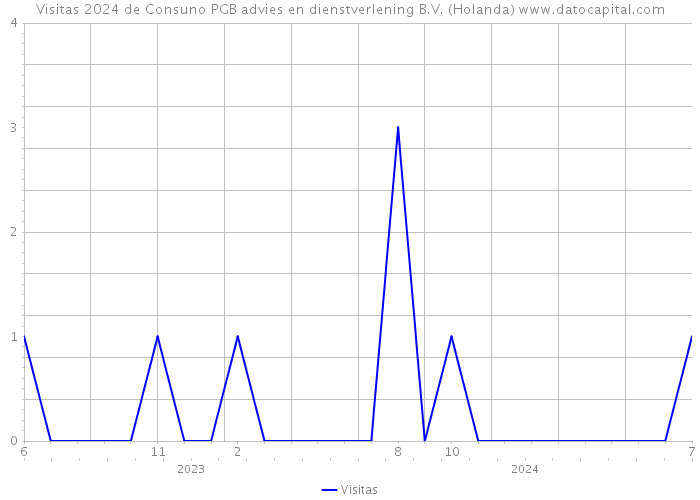 Visitas 2024 de Consuno PGB advies en dienstverlening B.V. (Holanda) 