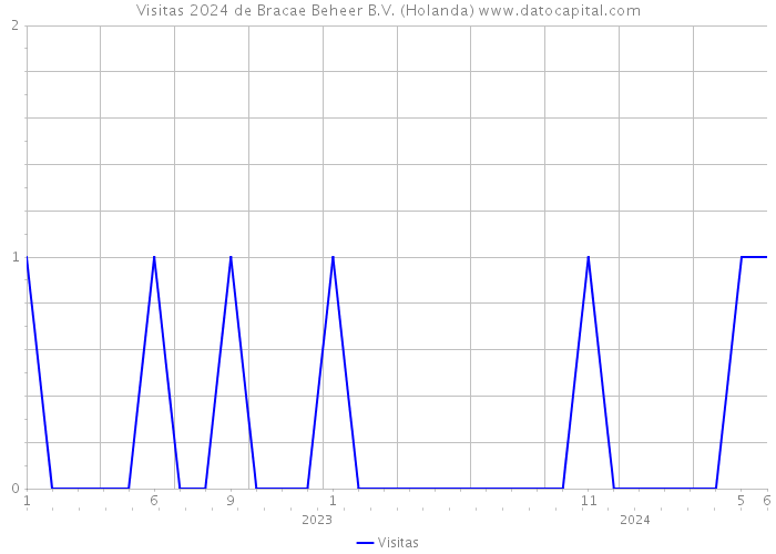 Visitas 2024 de Bracae Beheer B.V. (Holanda) 