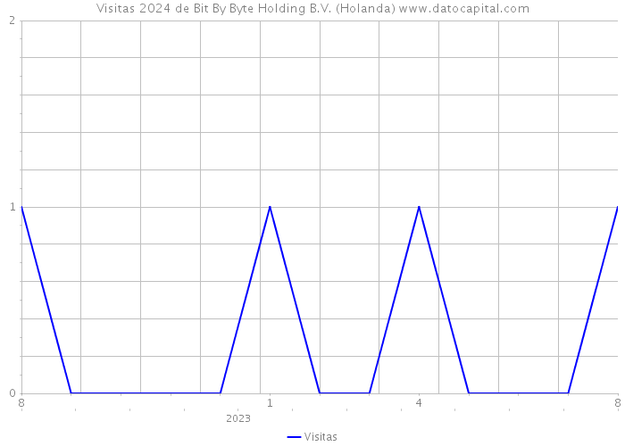 Visitas 2024 de Bit By Byte Holding B.V. (Holanda) 