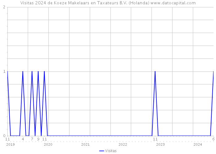 Visitas 2024 de Koeze Makelaars en Taxateurs B.V. (Holanda) 