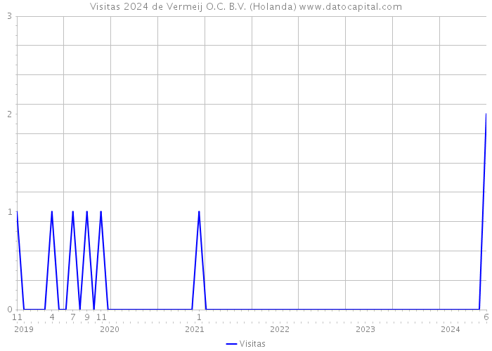 Visitas 2024 de Vermeij O.C. B.V. (Holanda) 