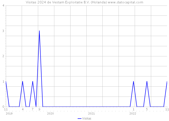 Visitas 2024 de Vestam Exploitatie B.V. (Holanda) 