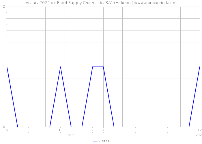 Visitas 2024 de Food Supply Chain Labs B.V. (Holanda) 