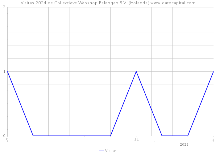 Visitas 2024 de Collectieve Webshop Belangen B.V. (Holanda) 