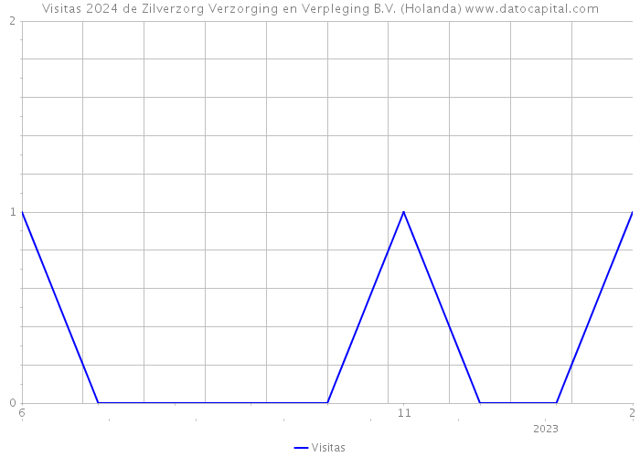 Visitas 2024 de Zilverzorg Verzorging en Verpleging B.V. (Holanda) 