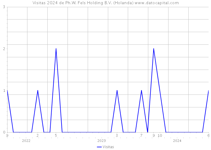 Visitas 2024 de Ph.W. Fels Holding B.V. (Holanda) 