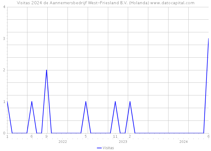 Visitas 2024 de Aannemersbedrijf West-Friesland B.V. (Holanda) 