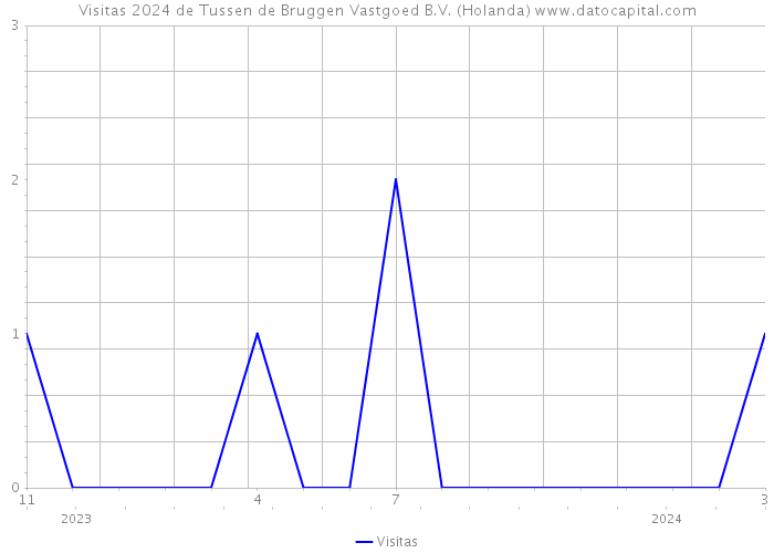 Visitas 2024 de Tussen de Bruggen Vastgoed B.V. (Holanda) 