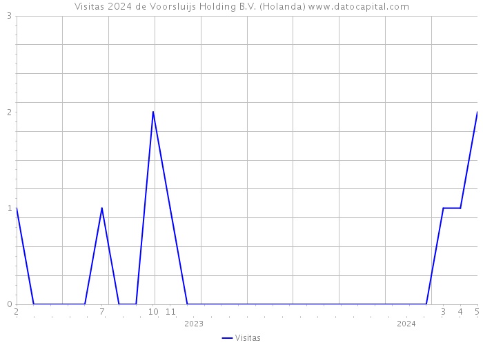 Visitas 2024 de Voorsluijs Holding B.V. (Holanda) 