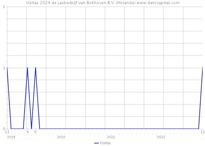 Visitas 2024 de Lasbedrijf van Bokhoven B.V. (Holanda) 