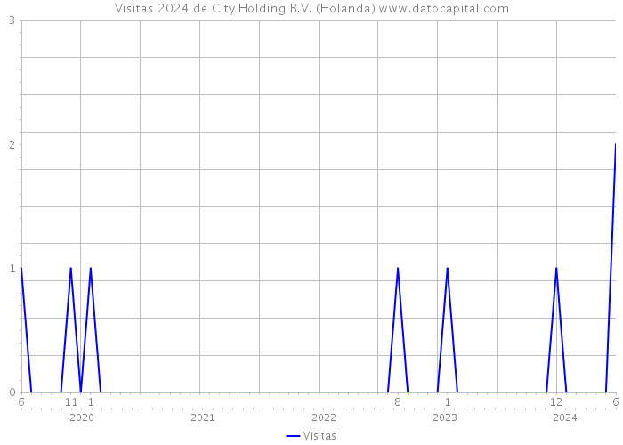 Visitas 2024 de City Holding B.V. (Holanda) 