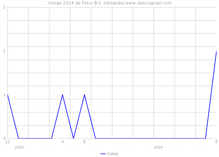 Visitas 2024 de Felco B.V. (Holanda) 