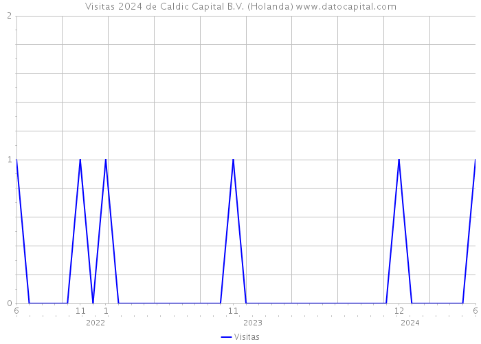 Visitas 2024 de Caldic Capital B.V. (Holanda) 