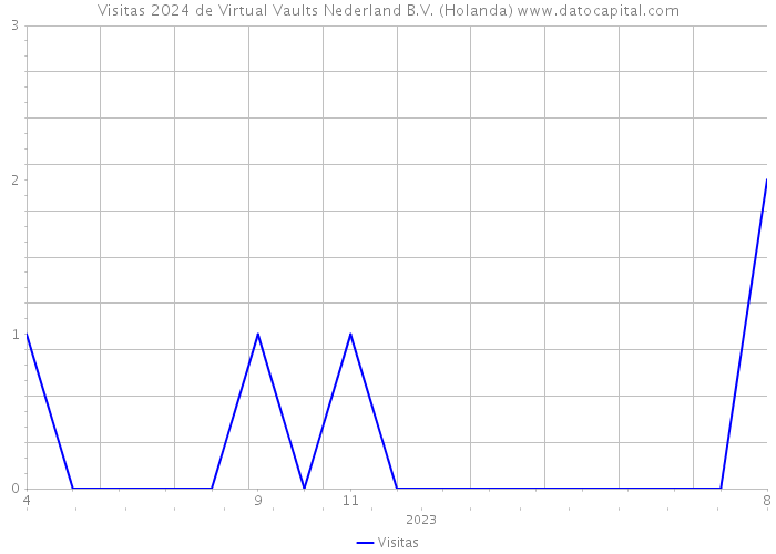 Visitas 2024 de Virtual Vaults Nederland B.V. (Holanda) 