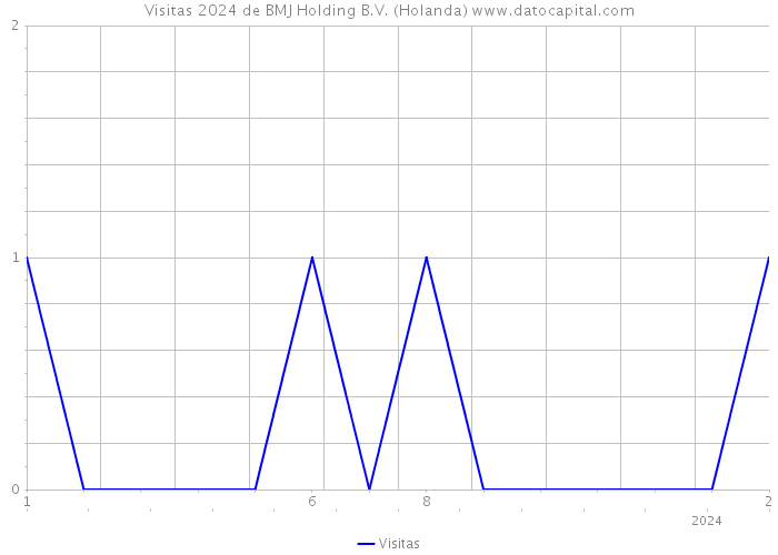 Visitas 2024 de BMJ Holding B.V. (Holanda) 