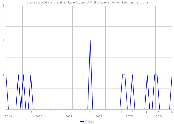 Visitas 2024 de Brantjes Landbouw B.V. (Holanda) 