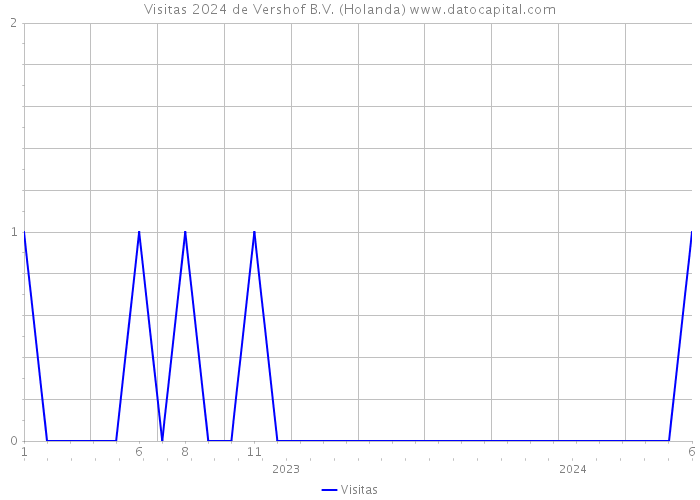 Visitas 2024 de Vershof B.V. (Holanda) 