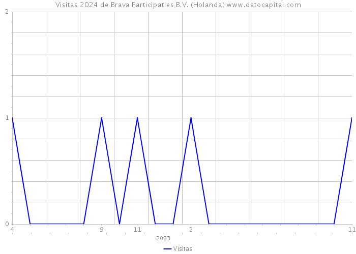 Visitas 2024 de Brava Participaties B.V. (Holanda) 