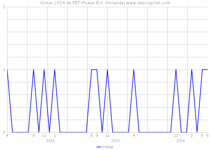 Visitas 2024 de PET-Power B.V. (Holanda) 