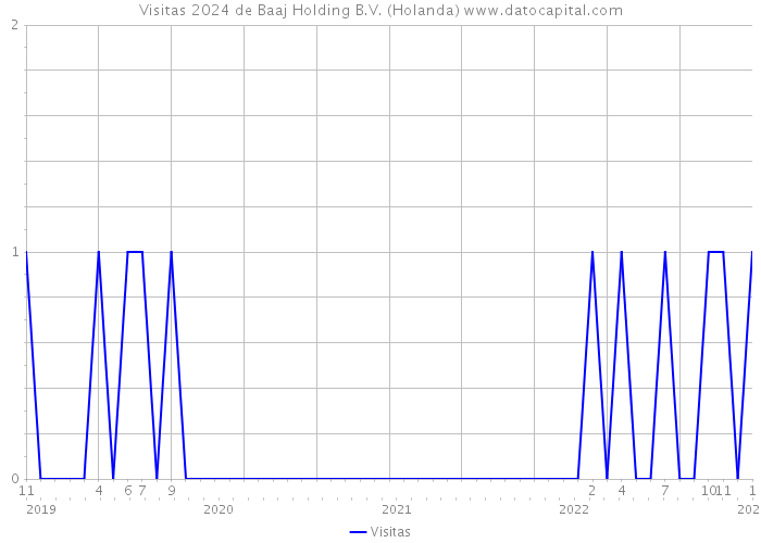 Visitas 2024 de Baaj Holding B.V. (Holanda) 