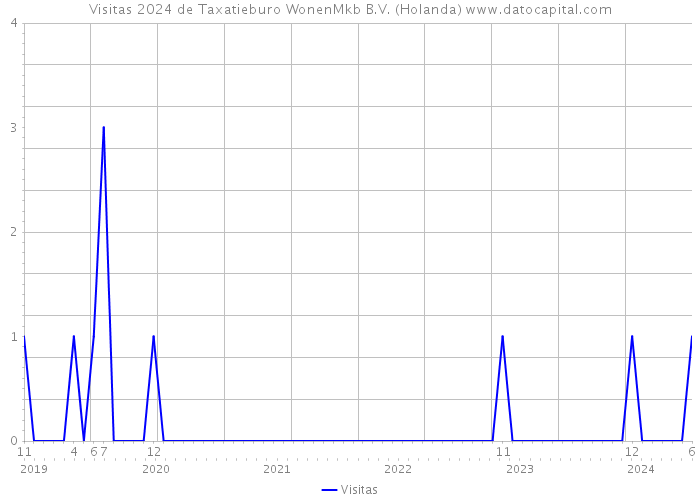 Visitas 2024 de Taxatieburo WonenMkb B.V. (Holanda) 