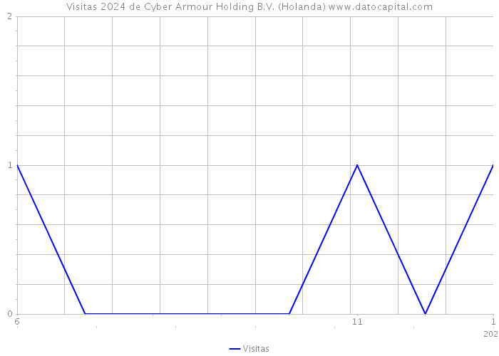 Visitas 2024 de Cyber Armour Holding B.V. (Holanda) 