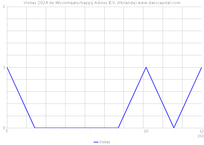 Visitas 2024 de Woonmaatschappij Advies B.V. (Holanda) 