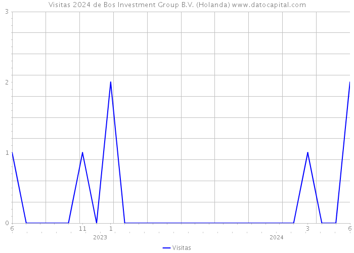 Visitas 2024 de Bos Investment Group B.V. (Holanda) 
