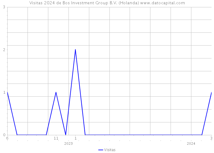 Visitas 2024 de Bos Investment Group B.V. (Holanda) 