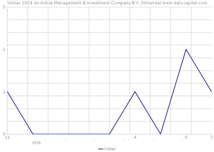 Visitas 2024 de Active Management & Investment Company B.V. (Holanda) 