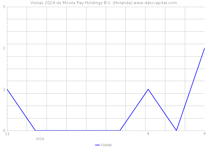 Visitas 2024 de Movile Pay Holdings B.V. (Holanda) 