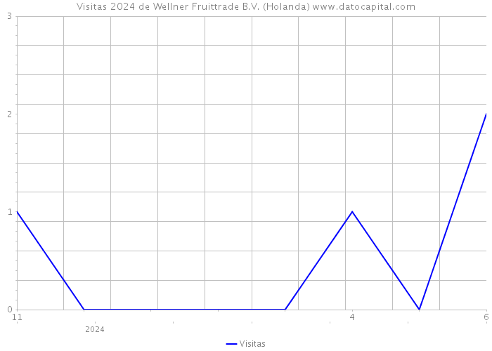 Visitas 2024 de Wellner Fruittrade B.V. (Holanda) 