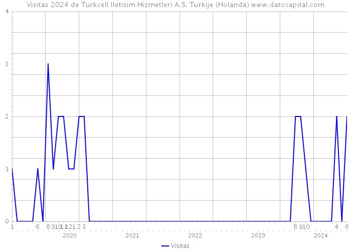 Visitas 2024 de Turkcell Iletisim Hizmetleri A.S. Turkije (Holanda) 