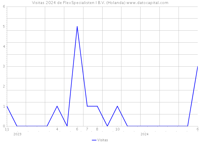 Visitas 2024 de FlexSpecialisten I B.V. (Holanda) 