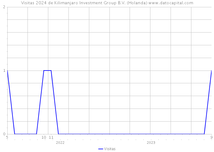 Visitas 2024 de Kilimanjaro Investment Group B.V. (Holanda) 