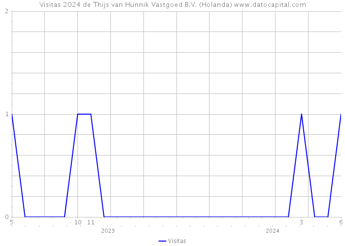 Visitas 2024 de Thijs van Hunnik Vastgoed B.V. (Holanda) 