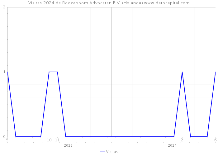 Visitas 2024 de Roozeboom Advocaten B.V. (Holanda) 