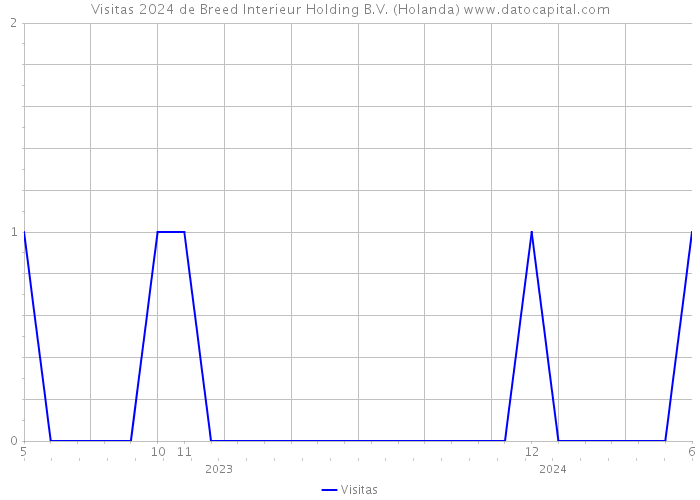 Visitas 2024 de Breed Interieur Holding B.V. (Holanda) 