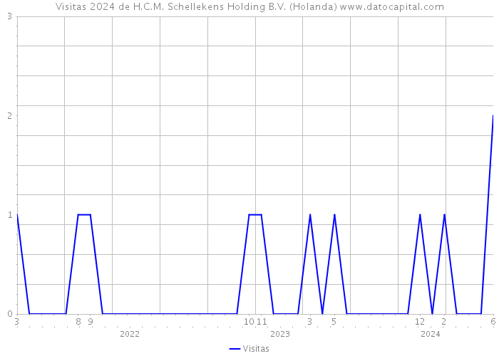 Visitas 2024 de H.C.M. Schellekens Holding B.V. (Holanda) 