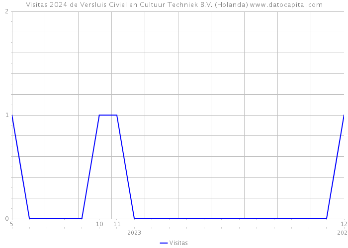 Visitas 2024 de Versluis Civiel en Cultuur Techniek B.V. (Holanda) 