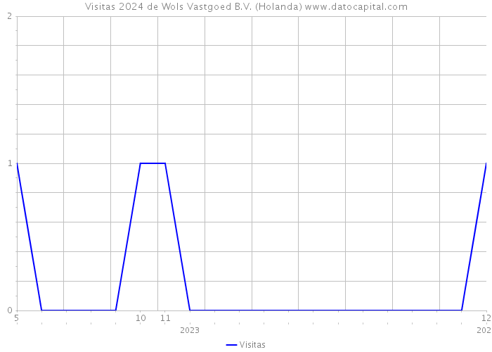 Visitas 2024 de Wols Vastgoed B.V. (Holanda) 