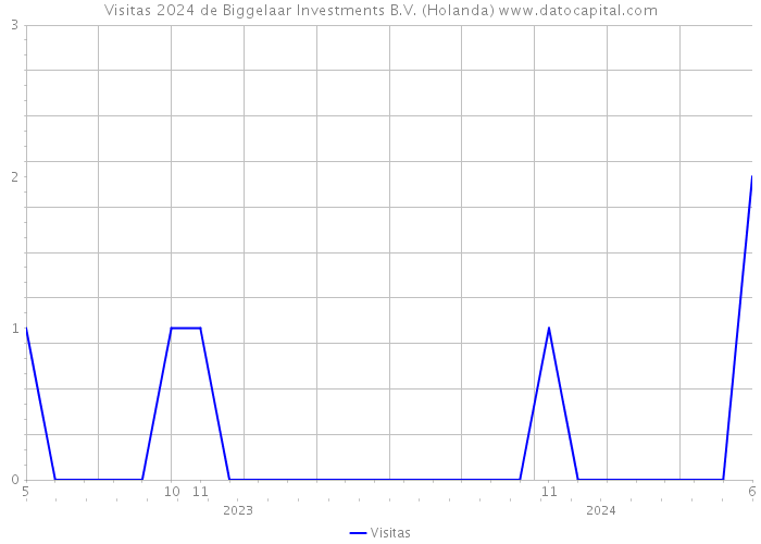 Visitas 2024 de Biggelaar Investments B.V. (Holanda) 
