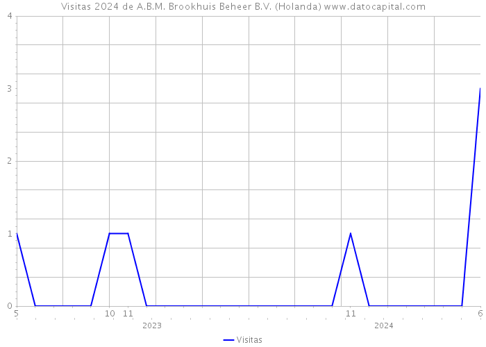 Visitas 2024 de A.B.M. Brookhuis Beheer B.V. (Holanda) 